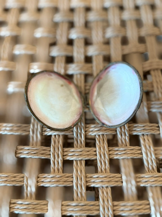 Vintage Sea Shell Compact