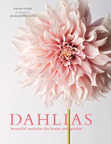 Dahlias; Beautiful Varieties for Home & Garden
