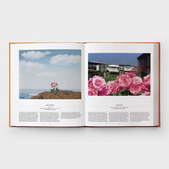 Flower: Exploring the World in Bloom