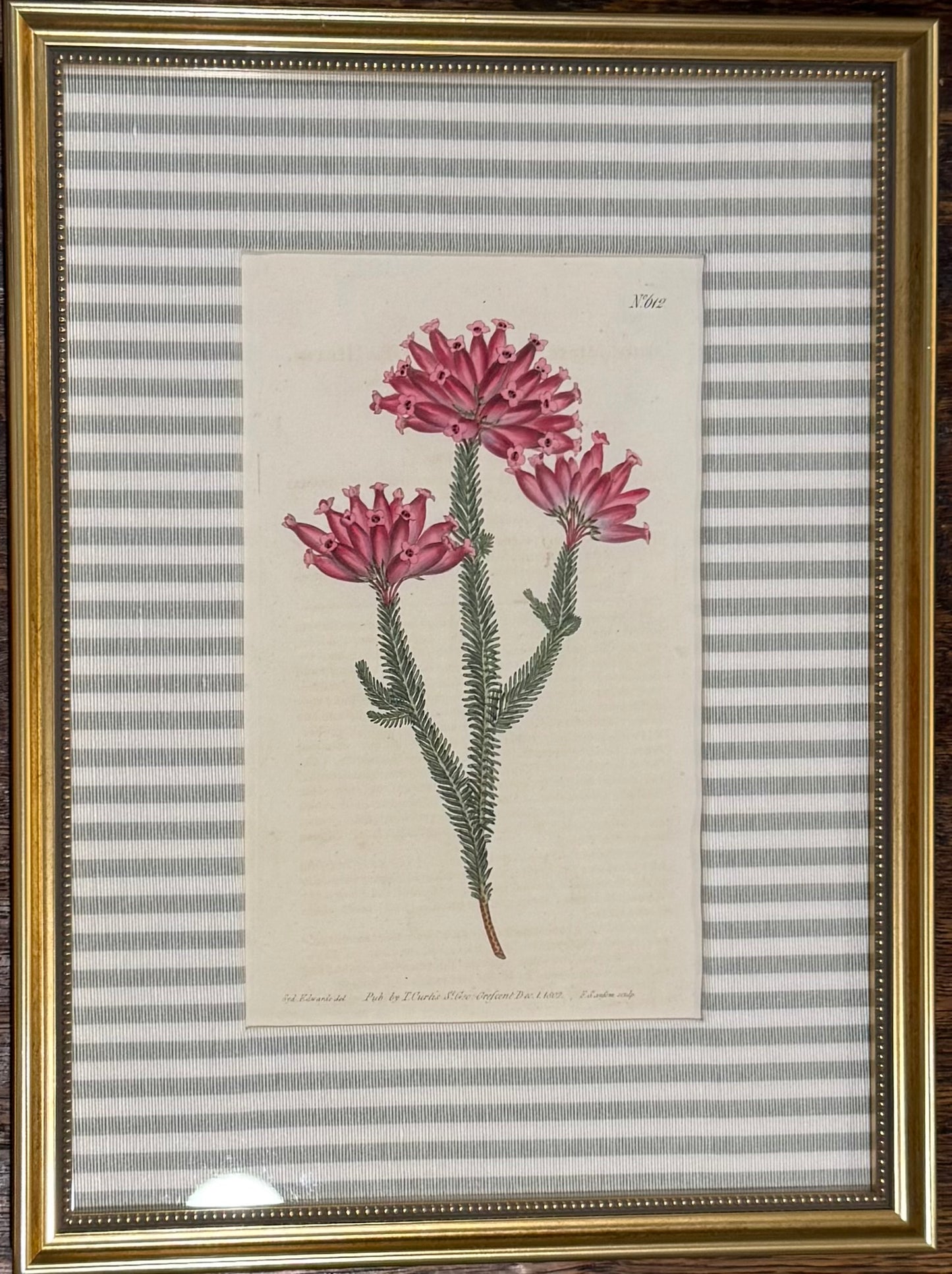 No. 612 Custom Framed Botanical Print