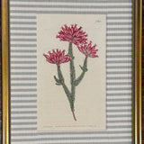 No. 612 Custom Framed Botanical Print