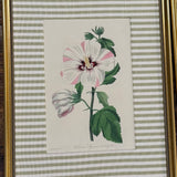 Hibiscus Custom Framed Botanical Print