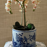 Coral Faux Orchid in Blue and White Pot